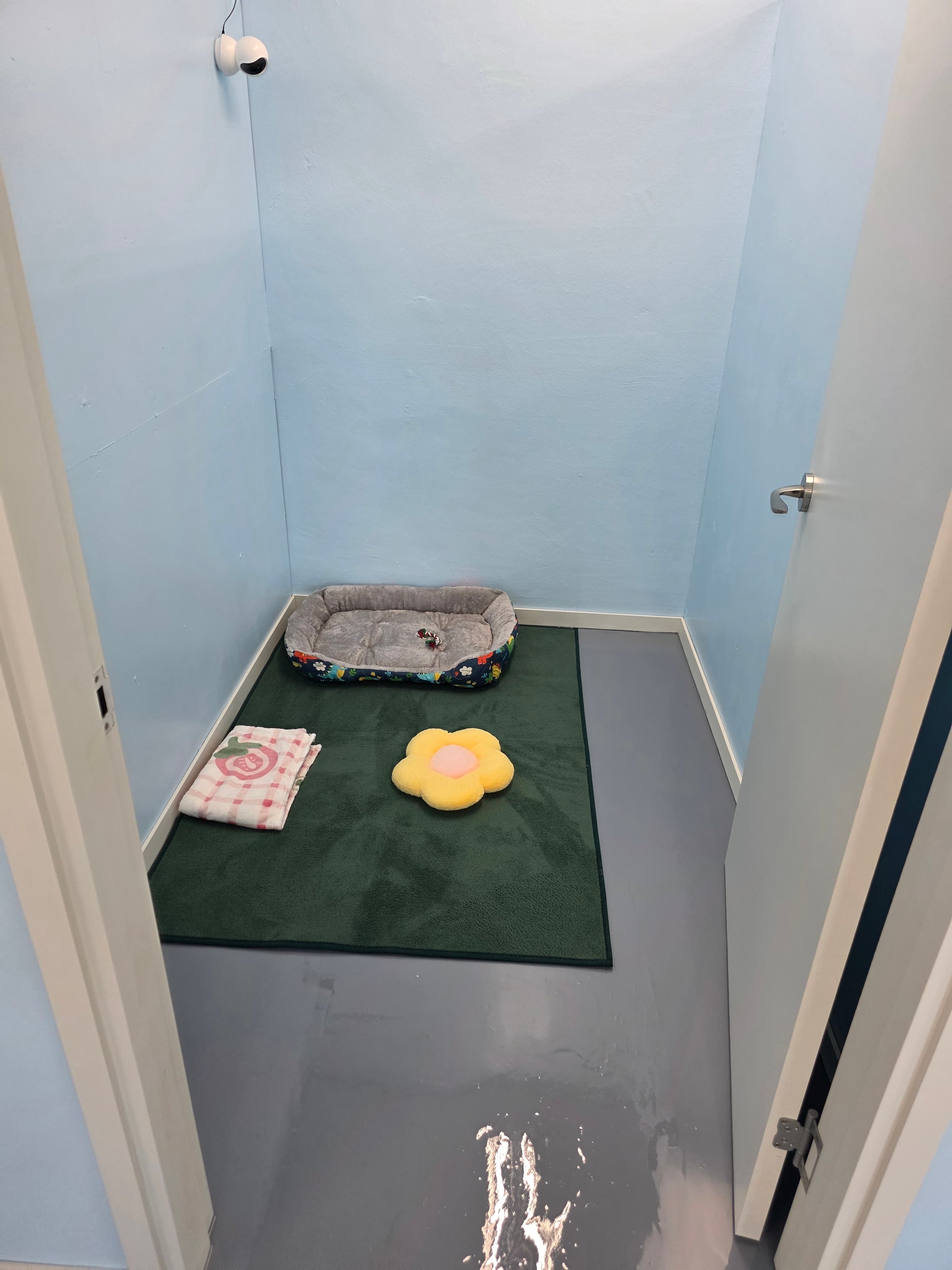 멍그니엘 은평점