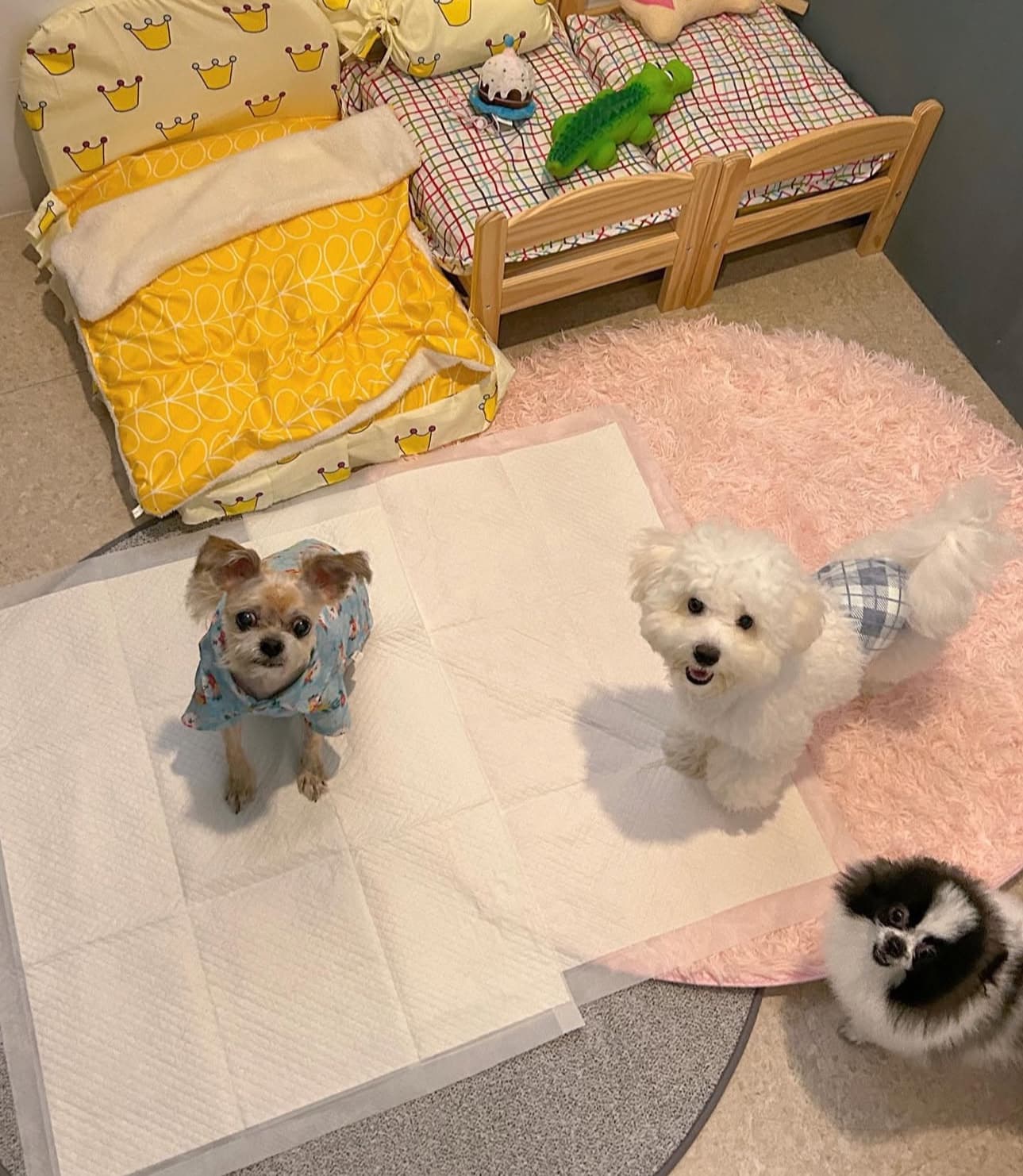 멍그니엘 기흥동탄점 시설 3