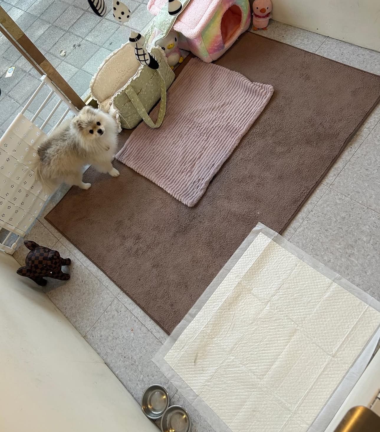 멍그니엘 기흥동탄점 시설 4