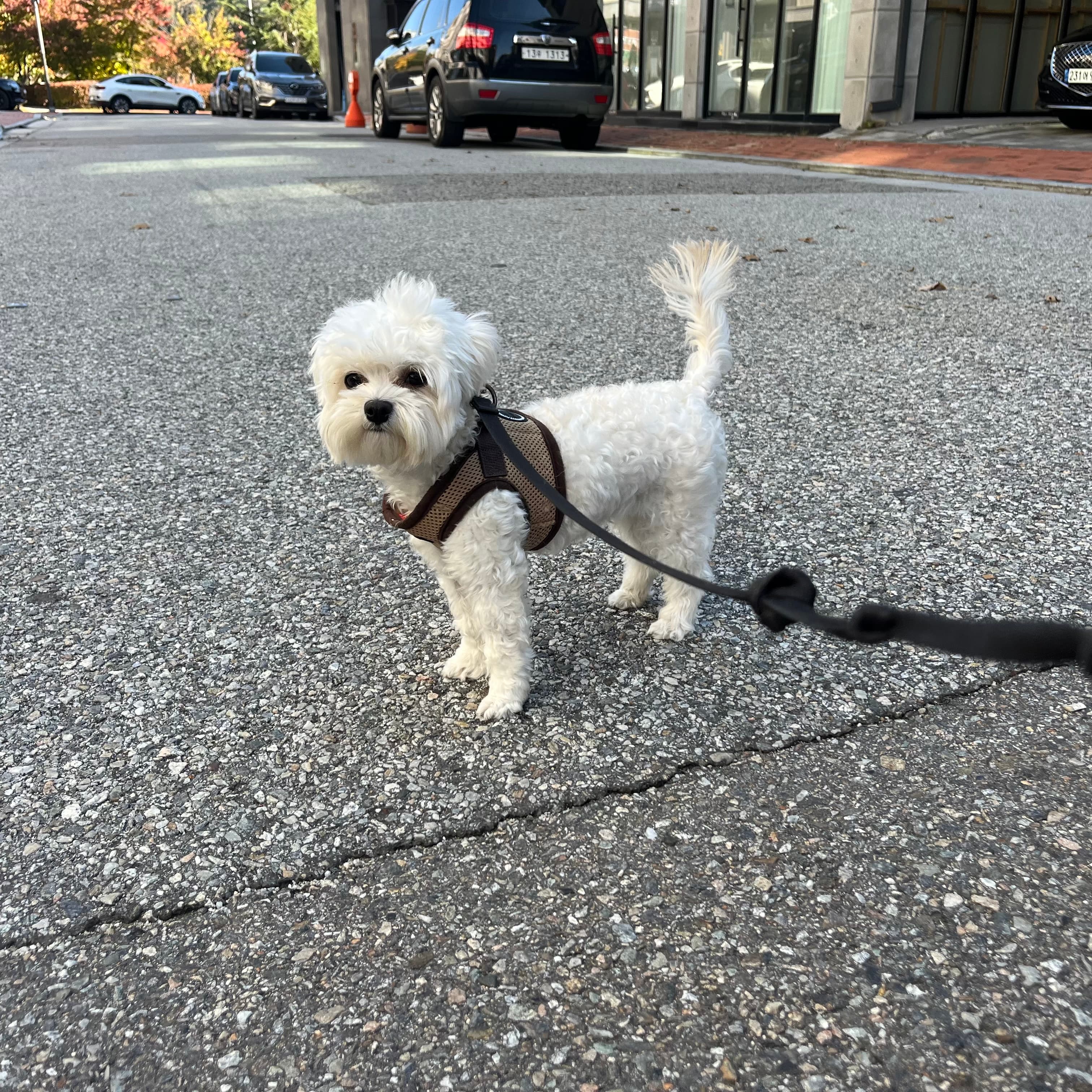 멍그니엘 기흥동탄점 시설 6