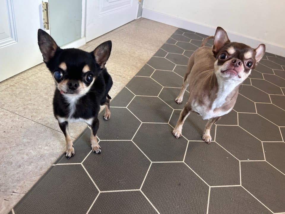 멍그니엘 기흥동탄점 시설 9