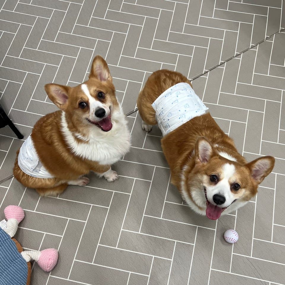 멍그니엘 시흥배곧점 시설 1