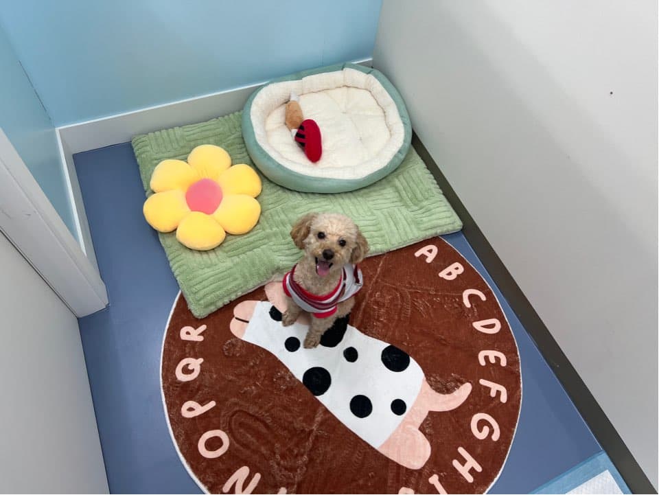 멍그니엘 시흥배곧점 시설 10