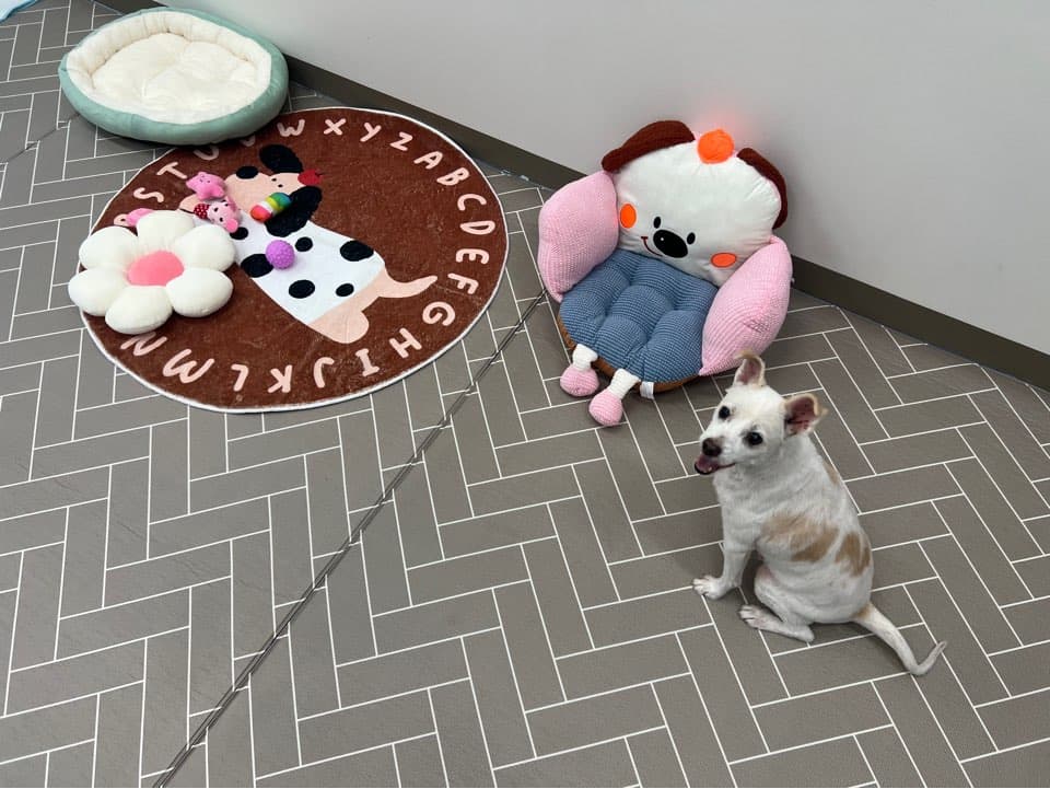 멍그니엘 시흥배곧점 시설 2