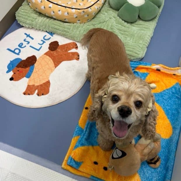 멍그니엘 시흥배곧점 시설 4