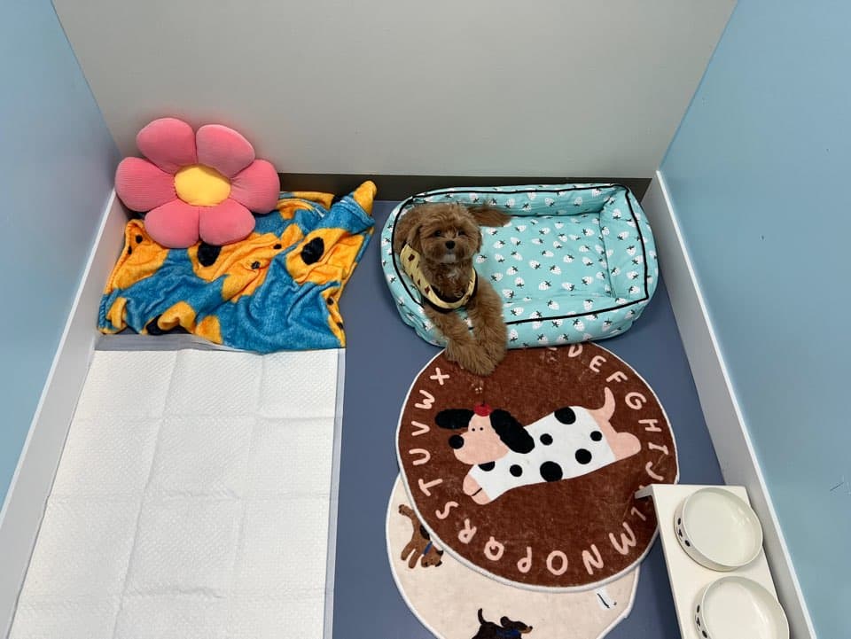 멍그니엘 시흥배곧점 시설 7