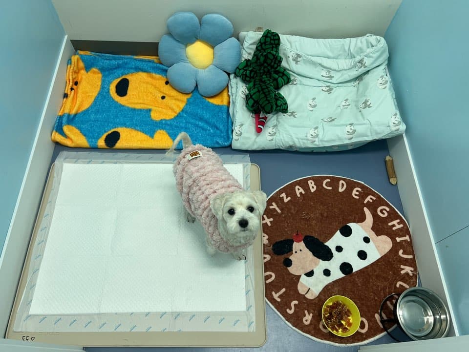 멍그니엘 시흥배곧점 시설 8