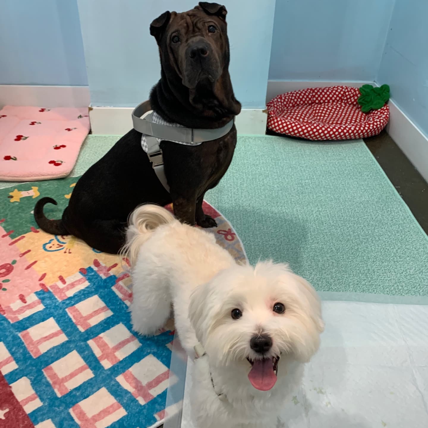 멍그니엘 수원본점 시설 2