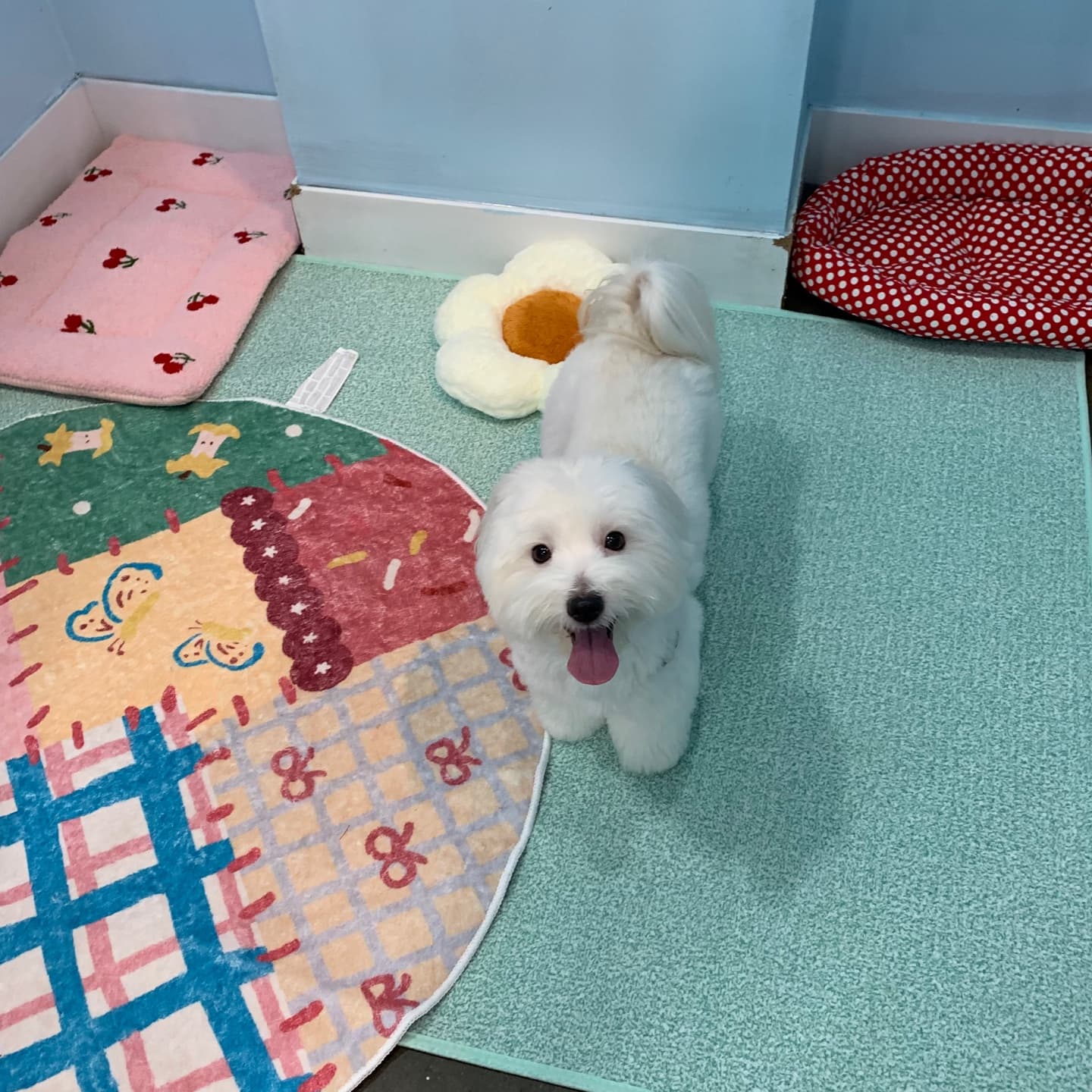 멍그니엘 수원본점 시설 3