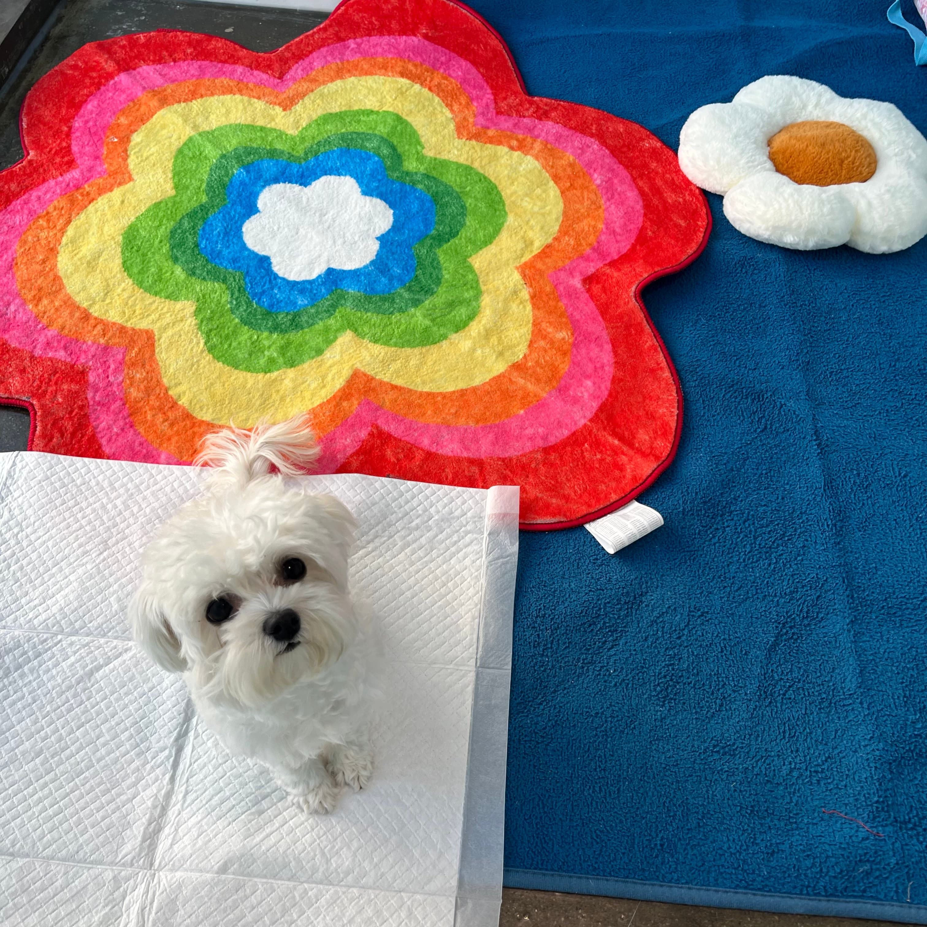 멍그니엘 수원본점 시설 5