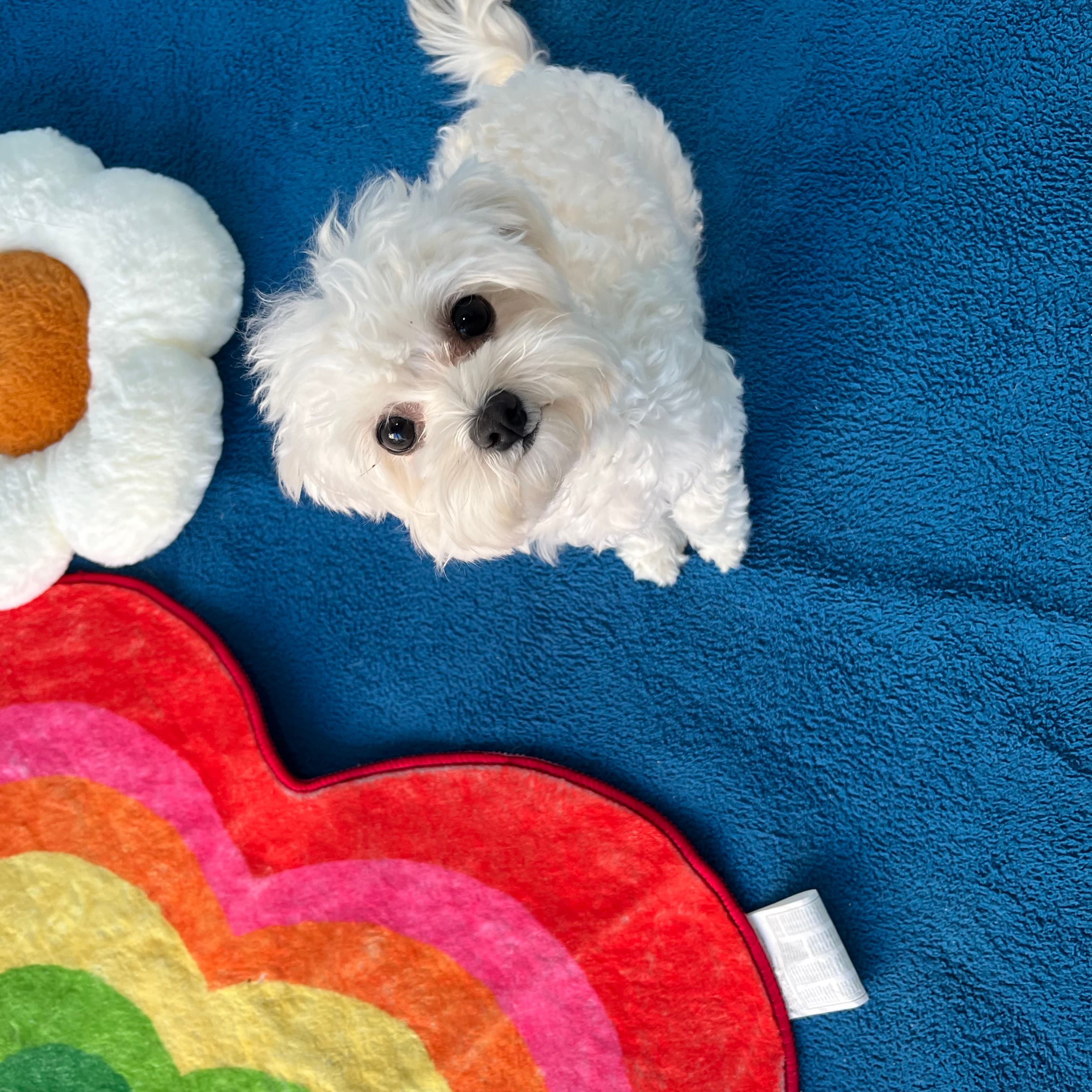 멍그니엘 수원본점 시설 6