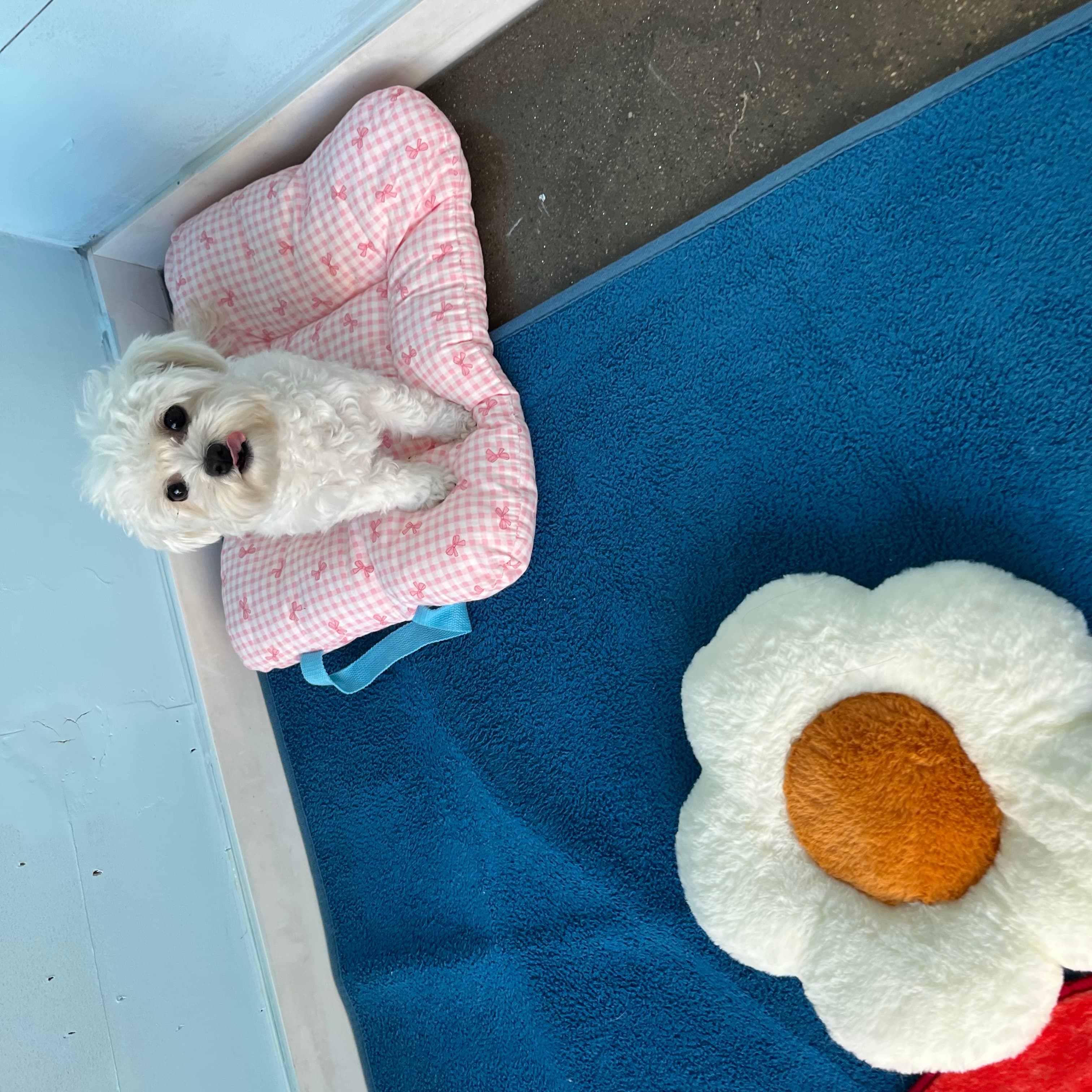 멍그니엘 수원본점 시설 7