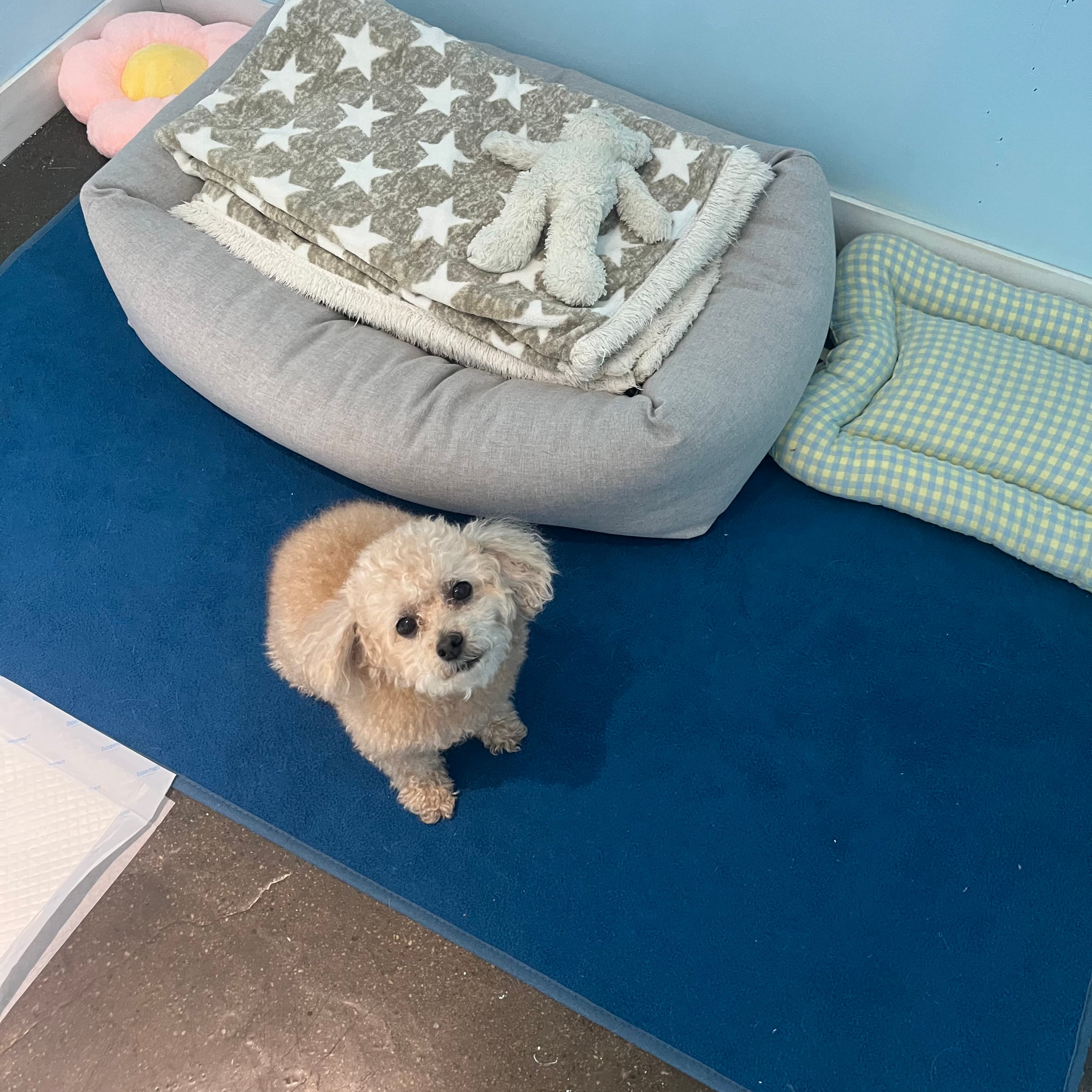 멍그니엘 수원본점 시설 9