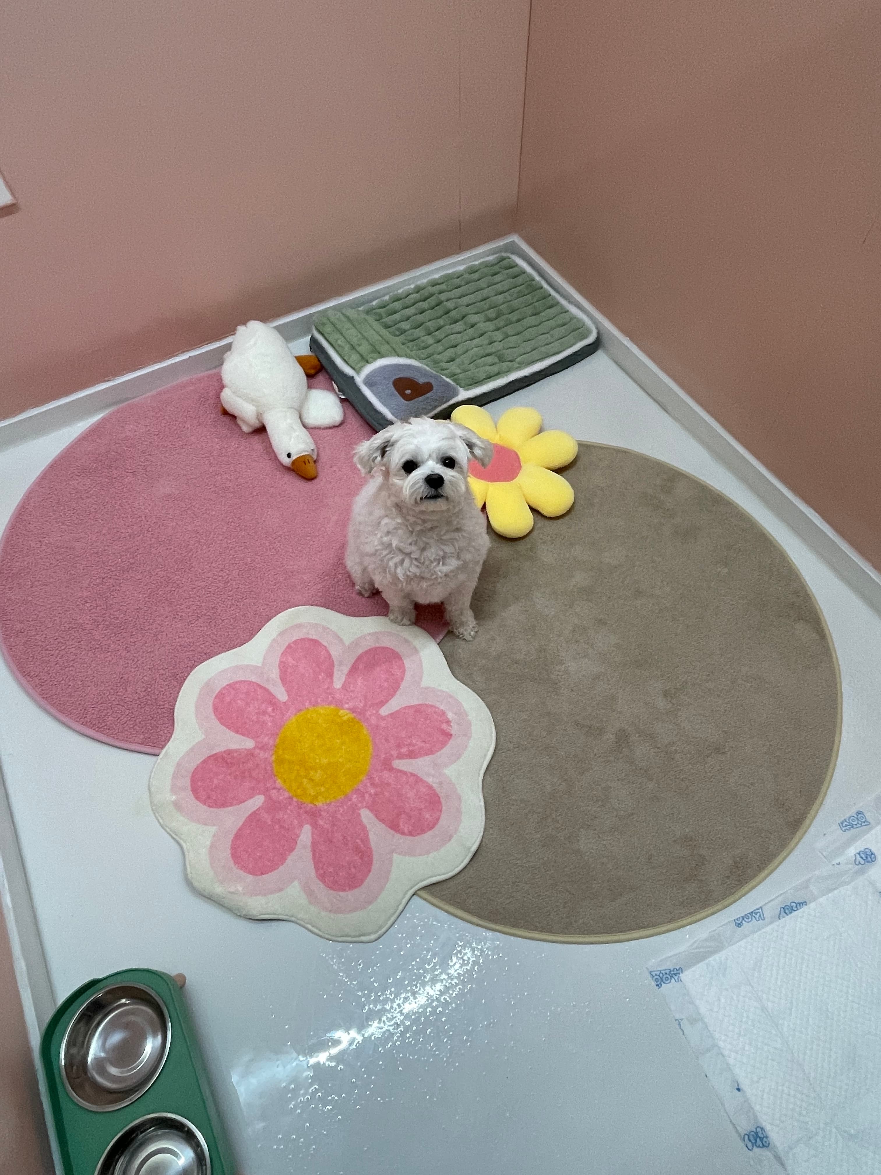 신라멍스 오산점 시설 11