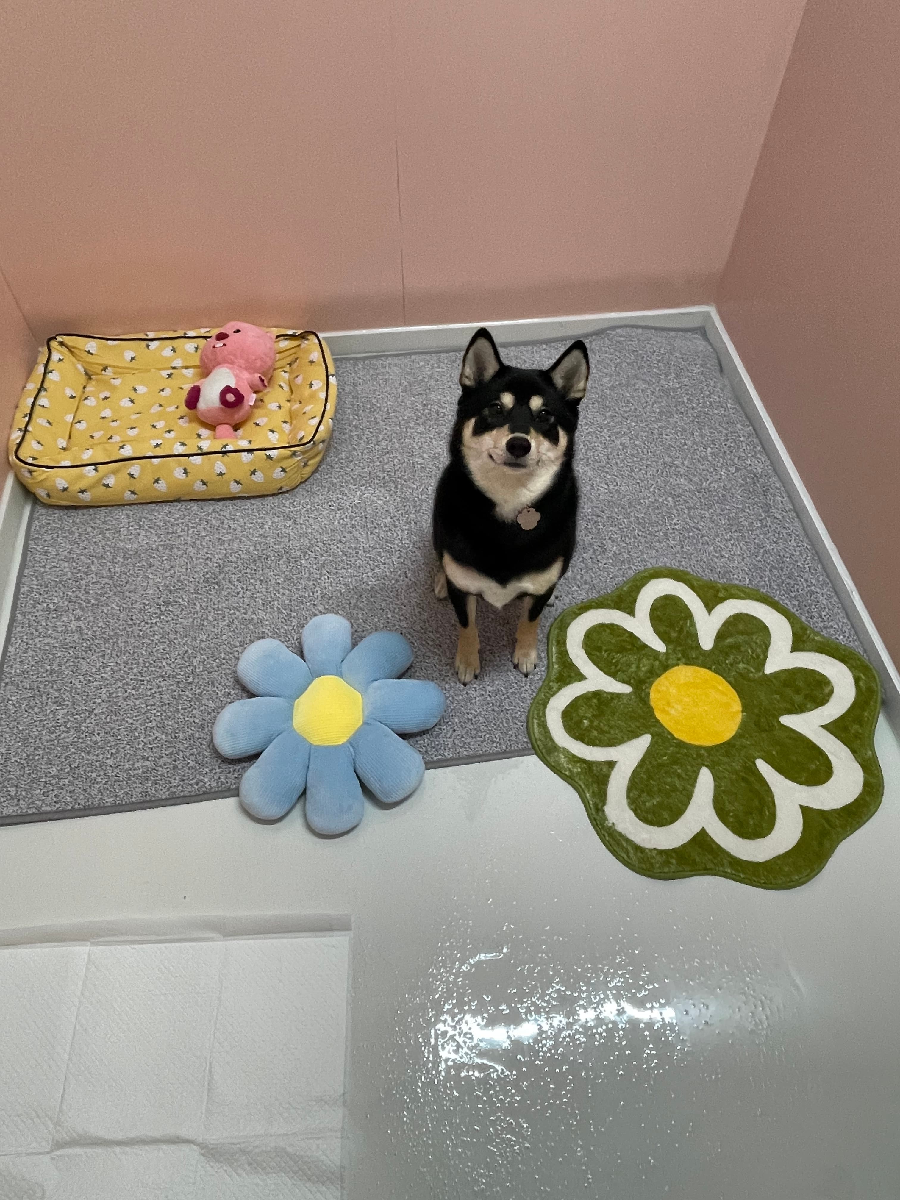 신라멍스 오산점 시설 12