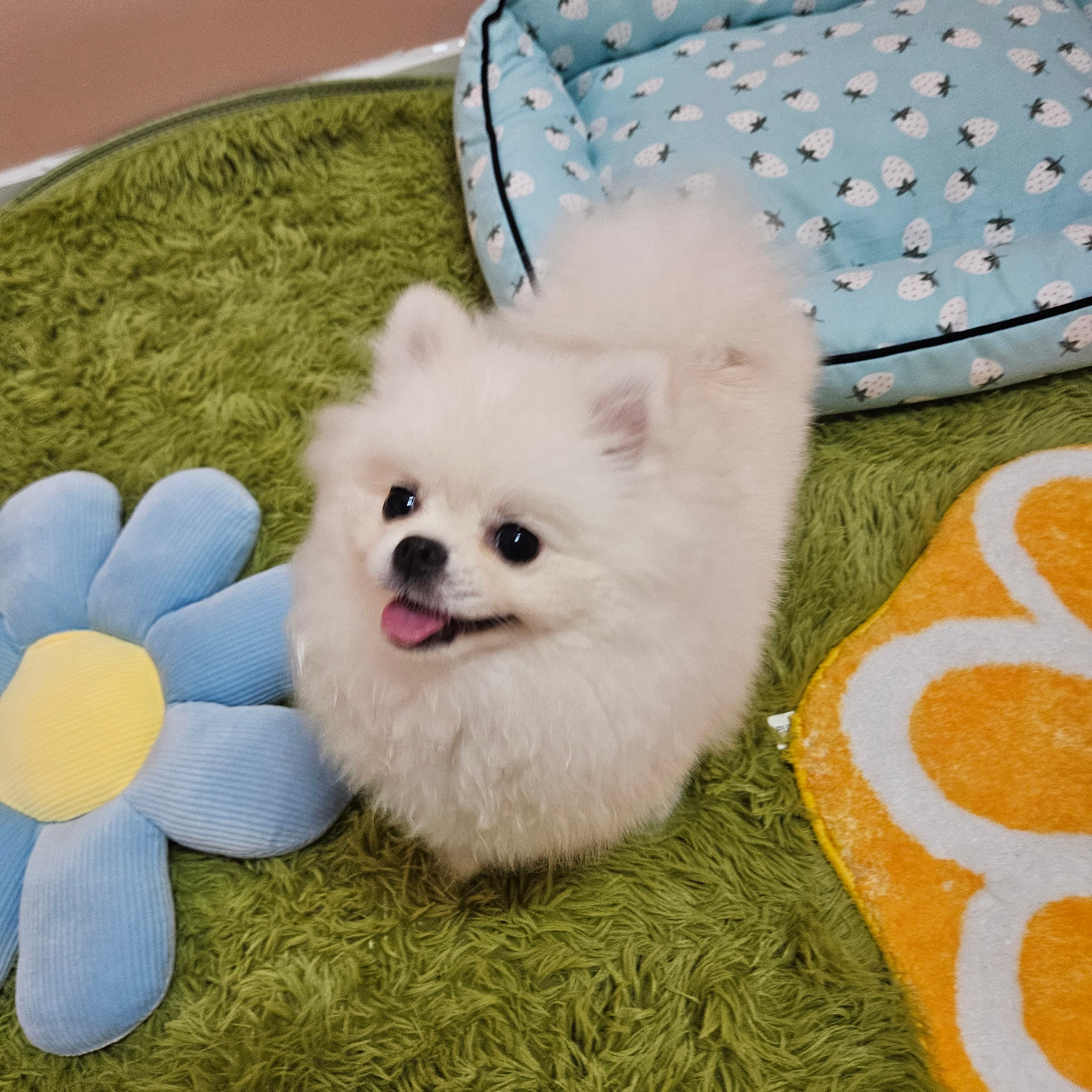 신라멍스 오산점 시설 3