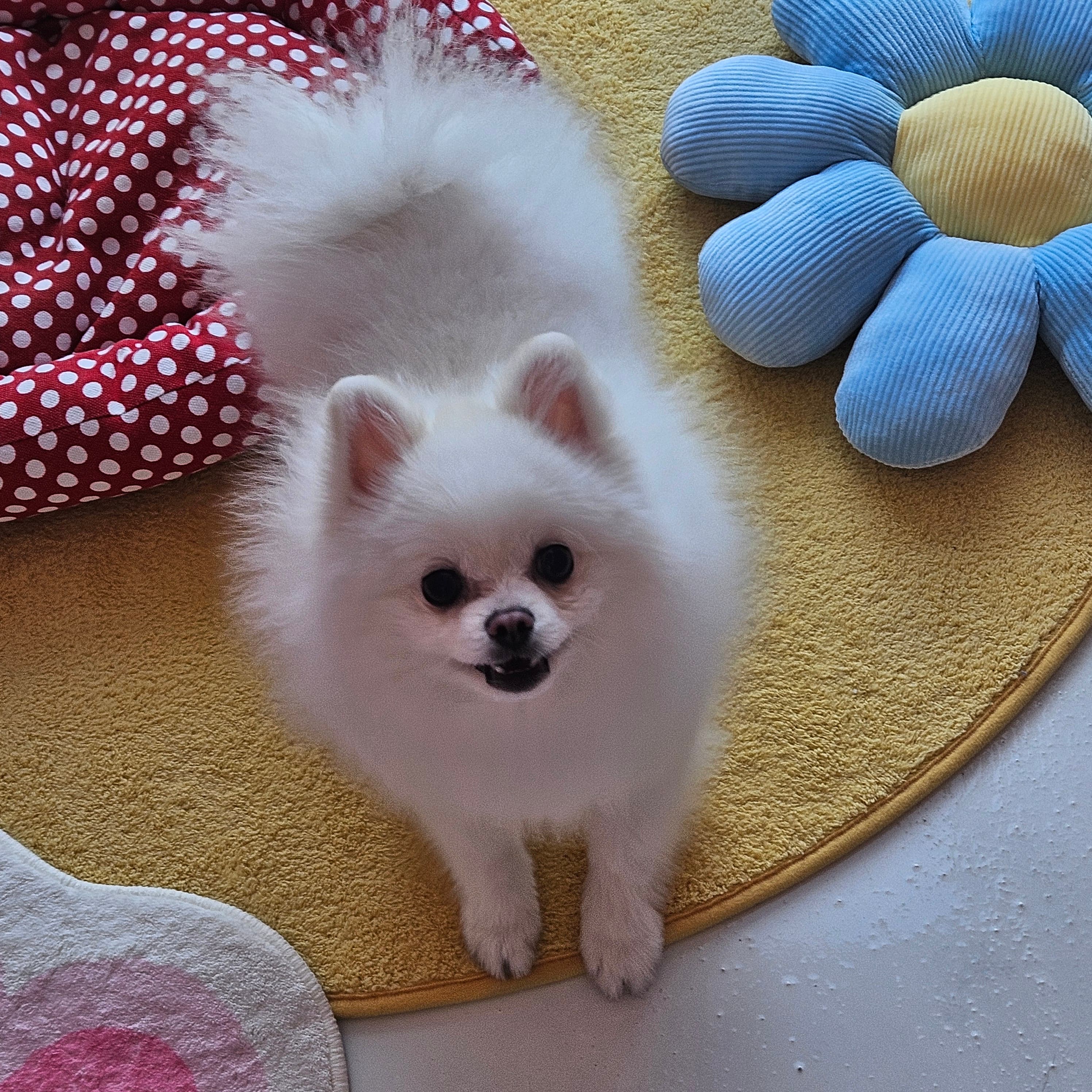 신라멍스 오산점 시설 5