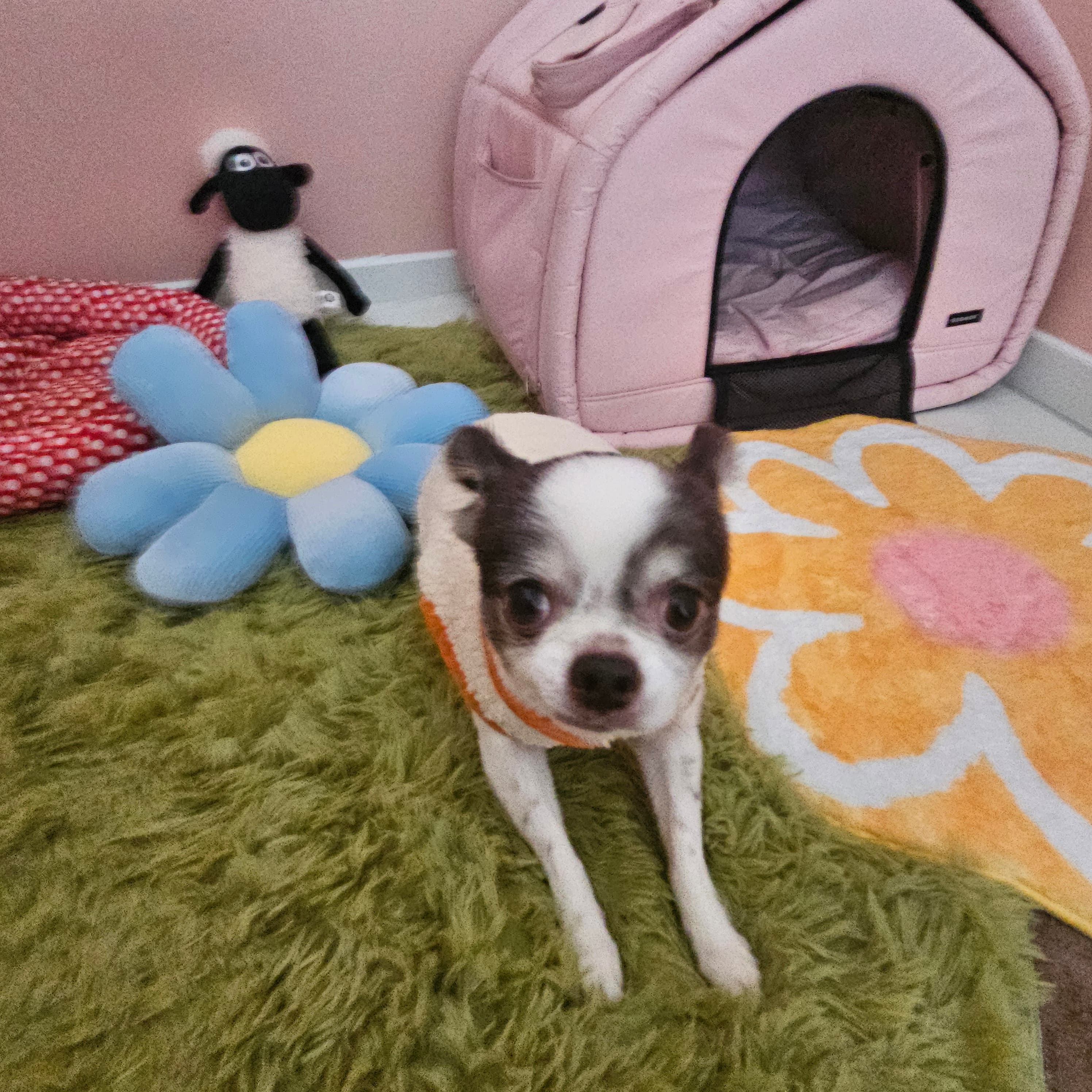 신라멍스 오산점 시설 6