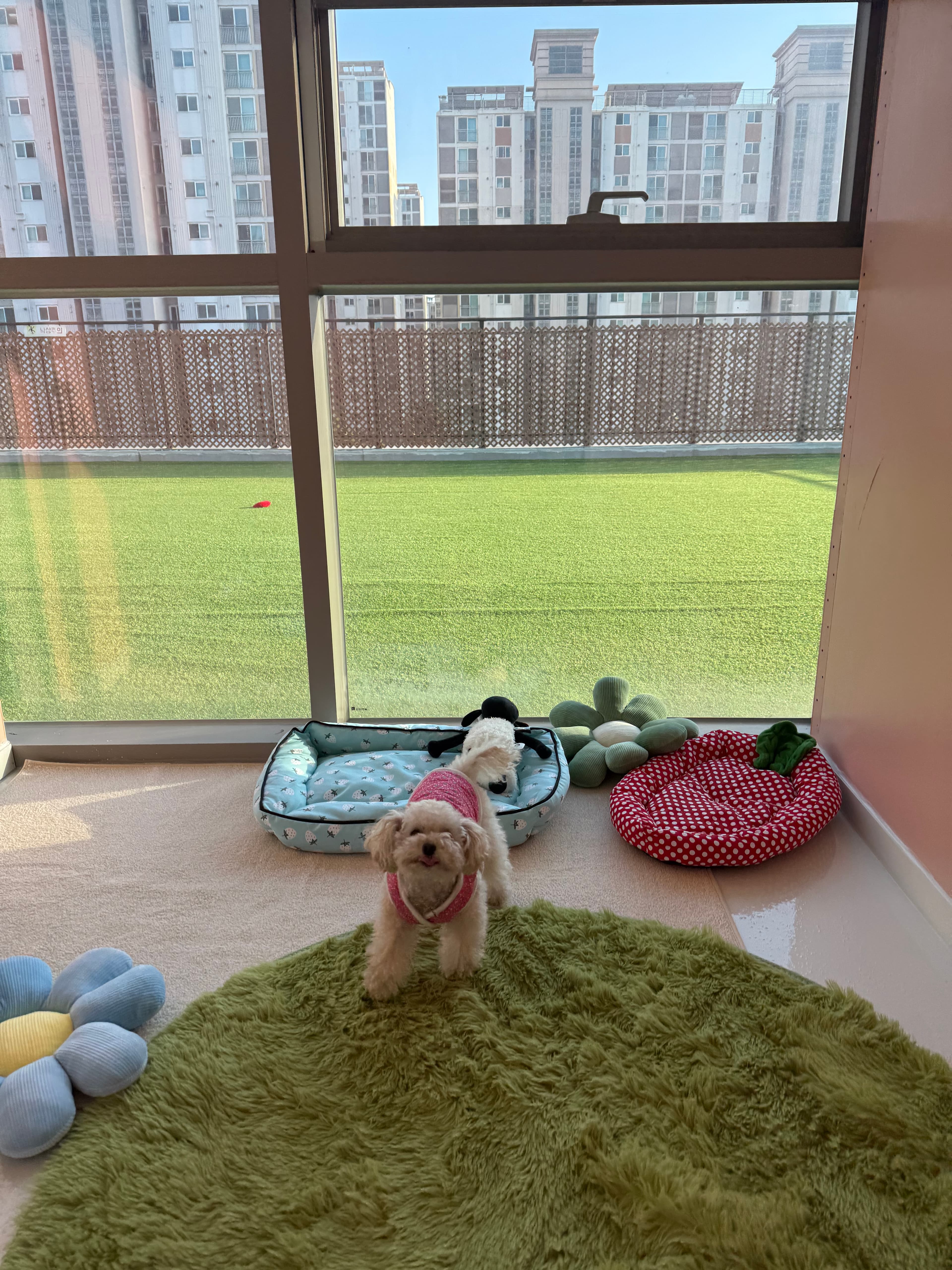 신라멍스 오산점 시설 1