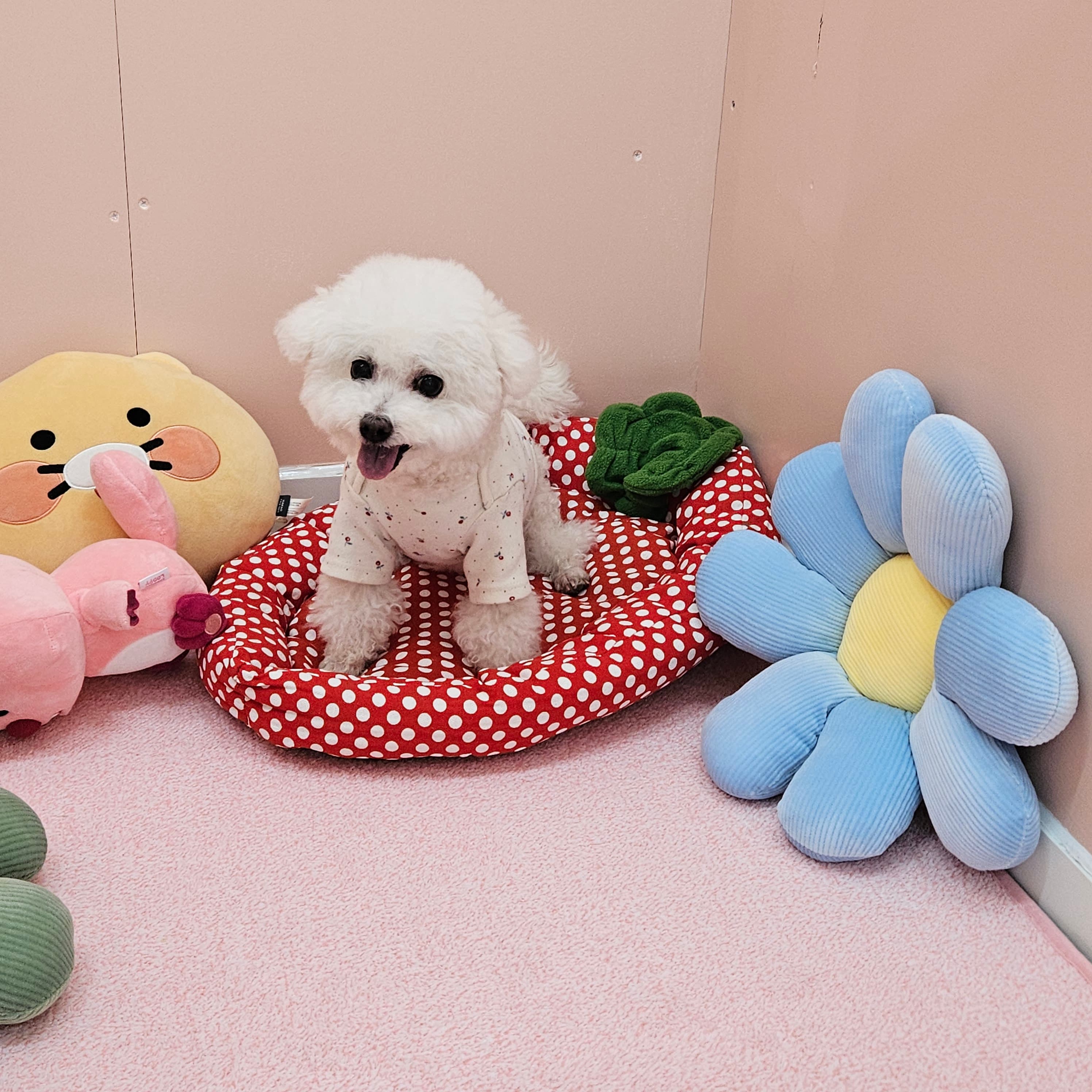 신라멍스 오산점 시설 8