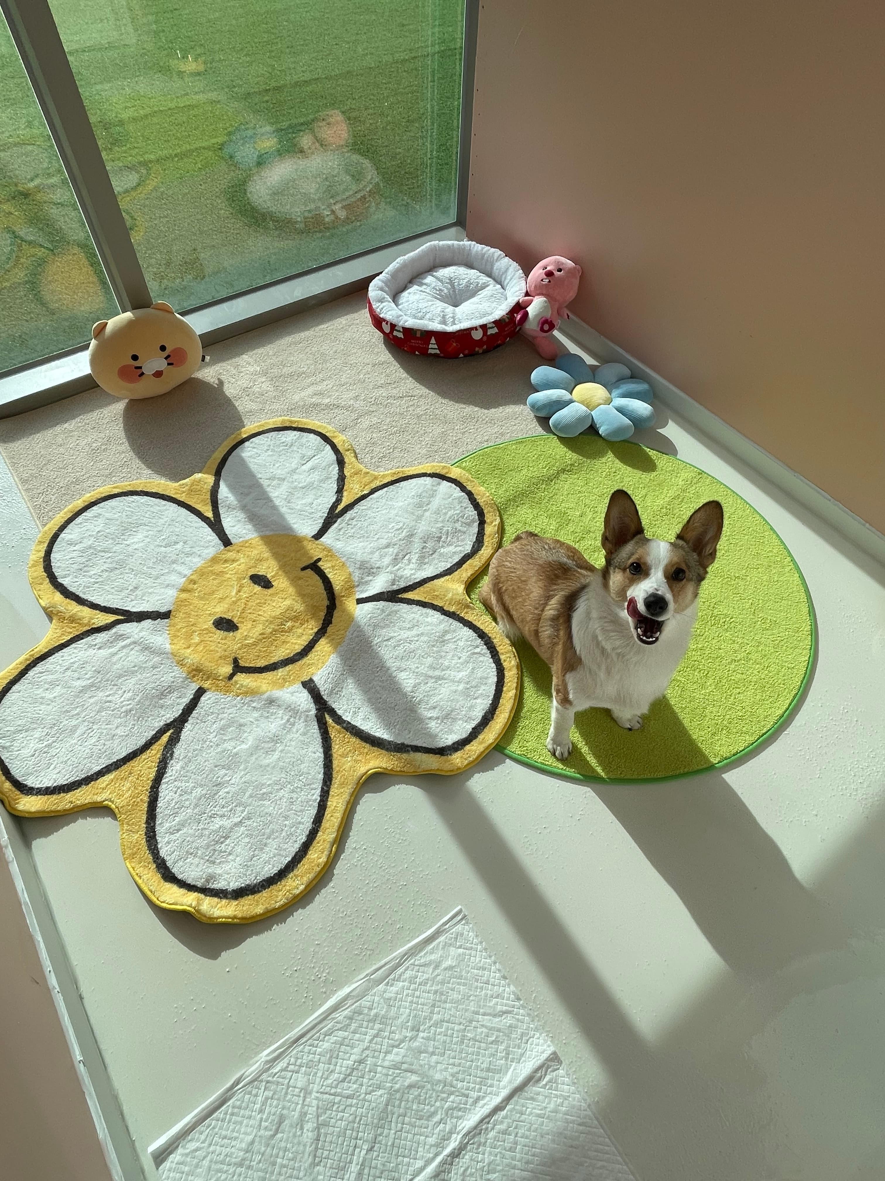 신라멍스 오산점 시설 9